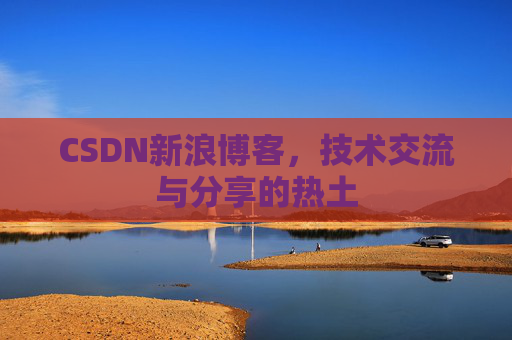 CSDN新浪博客，技术交流与分享的热土